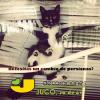 Foto de Decoraciones juco S.A. De C.V.