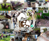 Foto de Ma peny Perros de terapia y servicio